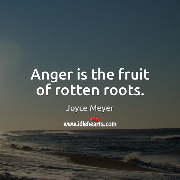 Anger is the fruit of rotten roots. Joyce Meyer Picture Quote