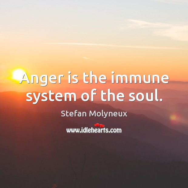 Anger is the immune system of the soul. Anger Quotes Image