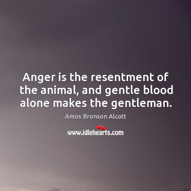 Anger is the resentment of the animal, and gentle blood alone makes the gentleman. Anger Quotes Image