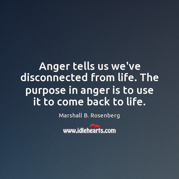 Anger tells us we’ve disconnected from life. The purpose in anger is Marshall B. Rosenberg Picture Quote
