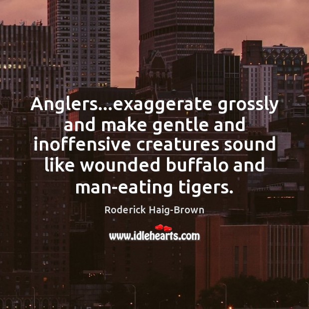 Anglers…exaggerate grossly and make gentle and inoffensive creatures sound like wounded Roderick Haig-Brown Picture Quote