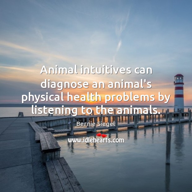 Animal intuitives can diagnose an animal’s physical health problems by listening to Bernie Siegel Picture Quote