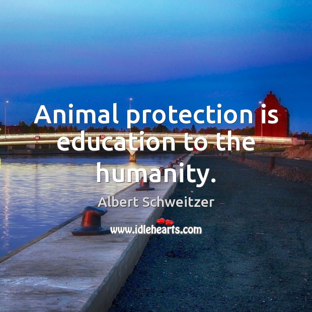 Animal protection is education to the humanity. Image