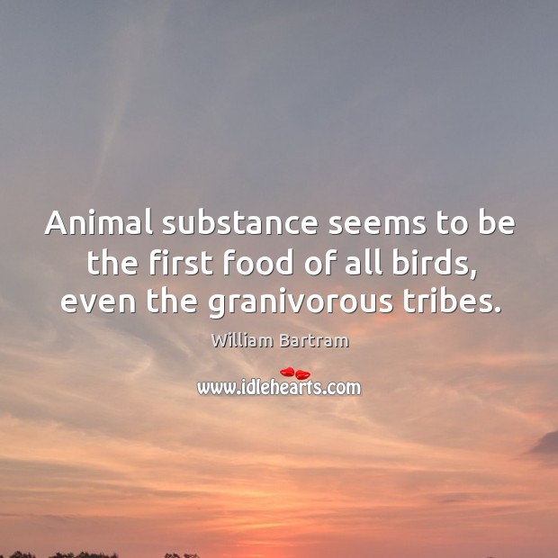Animal substance seems to be the first food of all birds, even the granivorous tribes. William Bartram Picture Quote