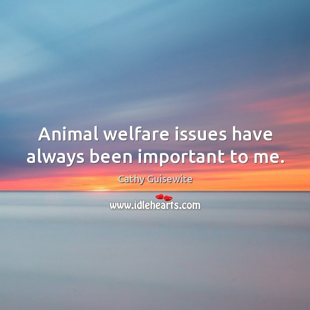 Animal welfare issues have always been important to me. Image