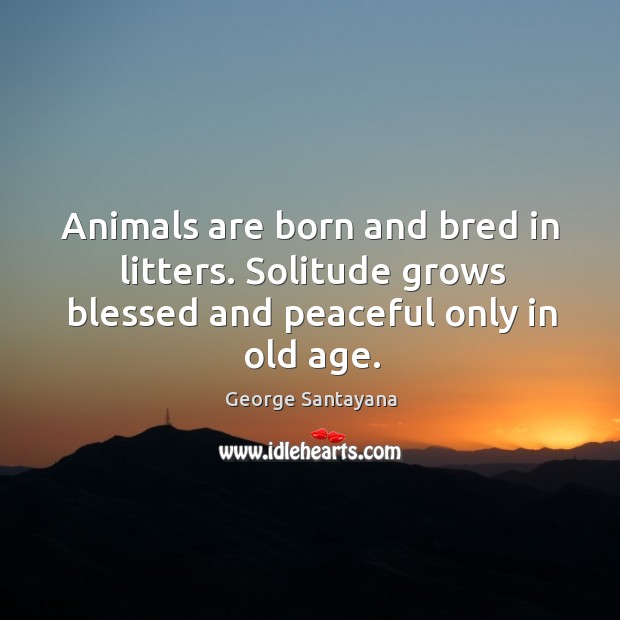 Animals are born and bred in litters. Solitude grows blessed and peaceful only in old age. Image