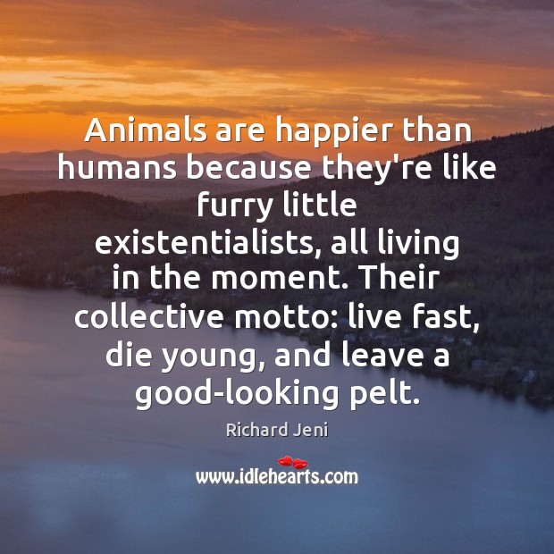 Animals are happier than humans because they’re like furry little existentialists, all Image
