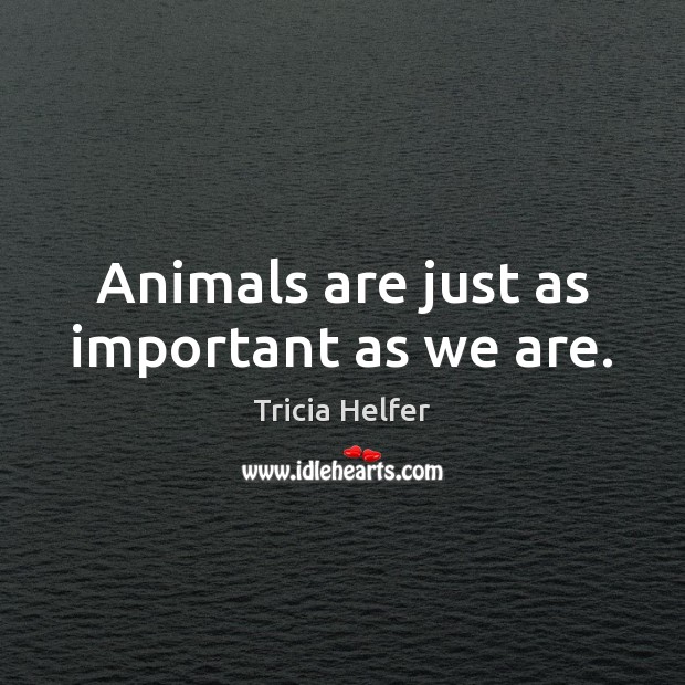 Animals are just as important as we are. Tricia Helfer Picture Quote