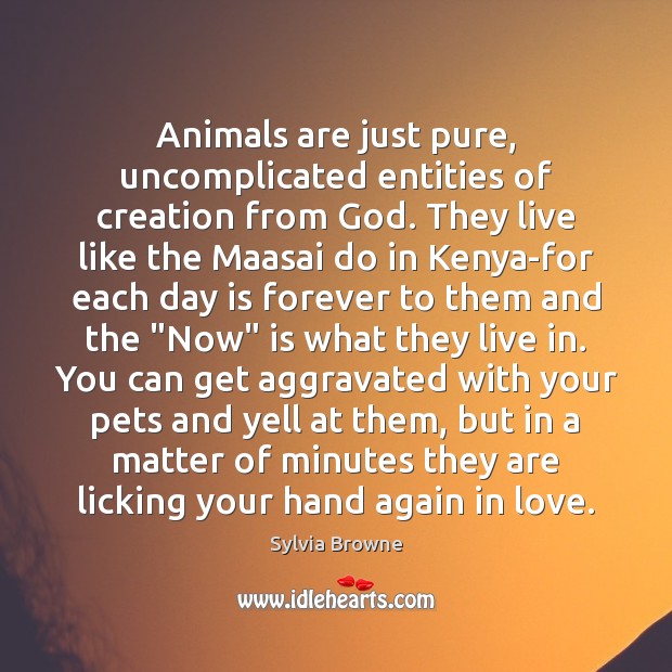 Animals are just pure, uncomplicated entities of creation from God. They live Sylvia Browne Picture Quote