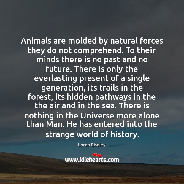 Animals are molded by natural forces they do not comprehend. To their Hidden Quotes Image