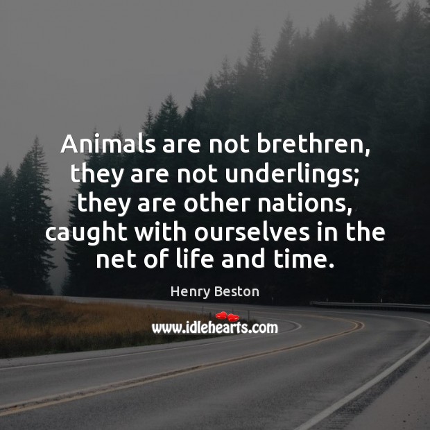 Animals are not brethren, they are not underlings; they are other nations, Image