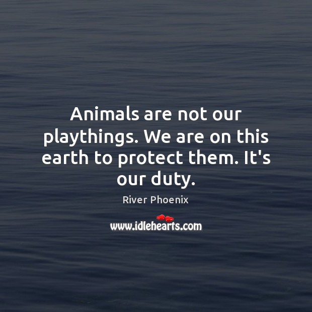 Animals are not our playthings. We are on this earth to protect them. It’s our duty. Image