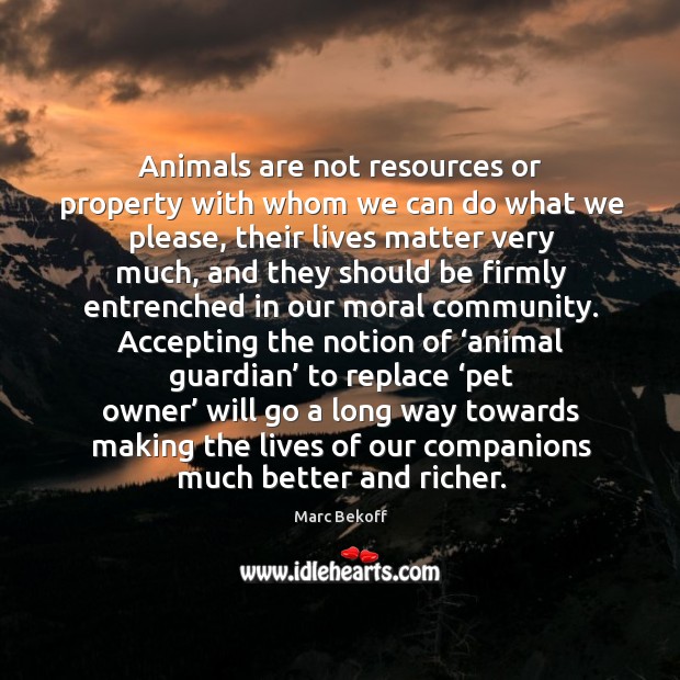 Animals are not resources or property with whom we can do what Marc Bekoff Picture Quote