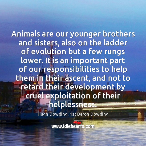 Animals are our younger brothers and sisters, also on the ladder of Hugh Dowding, 1st Baron Dowding Picture Quote