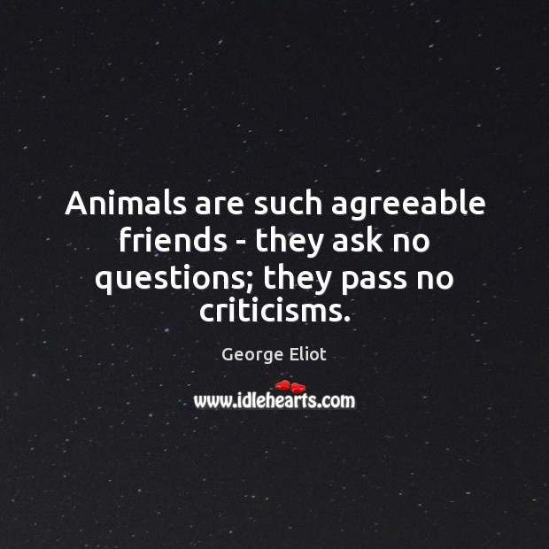 Animals are such agreeable friends – they ask no questions; they pass no criticisms. Image