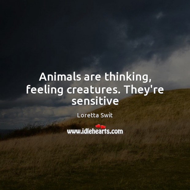 Animals are thinking, feeling creatures. They’re sensitive Loretta Swit Picture Quote