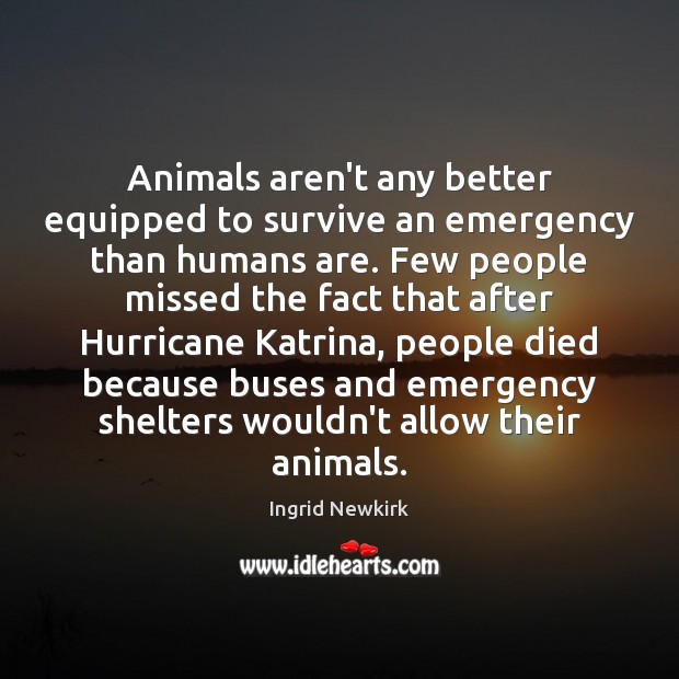 Animals aren’t any better equipped to survive an emergency than humans are. 