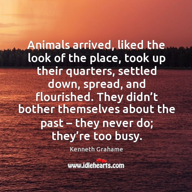 Animals arrived, liked the look of the place, took up their quarters, settled down Kenneth Grahame Picture Quote