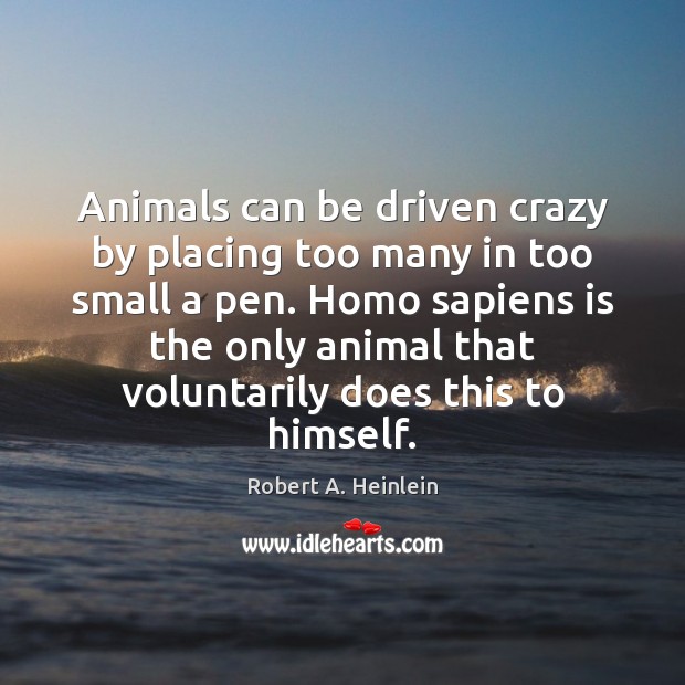Animals can be driven crazy by placing too many in too small Robert A. Heinlein Picture Quote