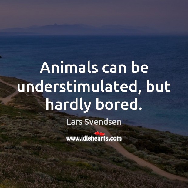 Animals can be understimulated, but hardly bored. Image