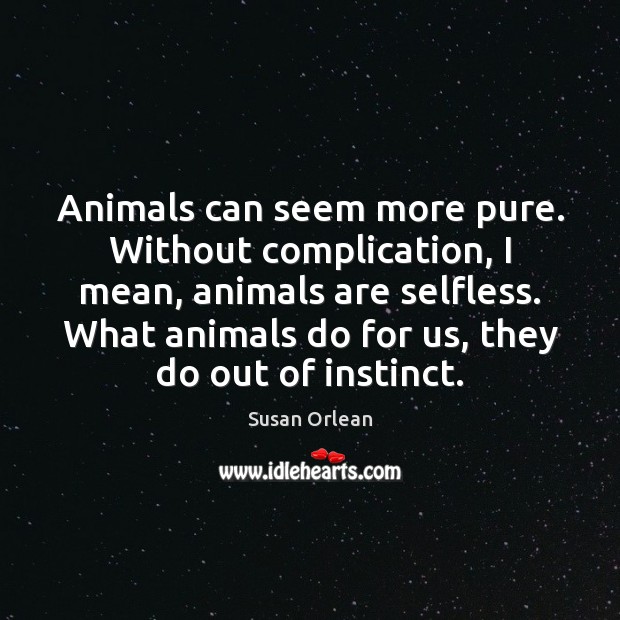 Animals can seem more pure. Without complication, I mean, animals are selfless. Susan Orlean Picture Quote