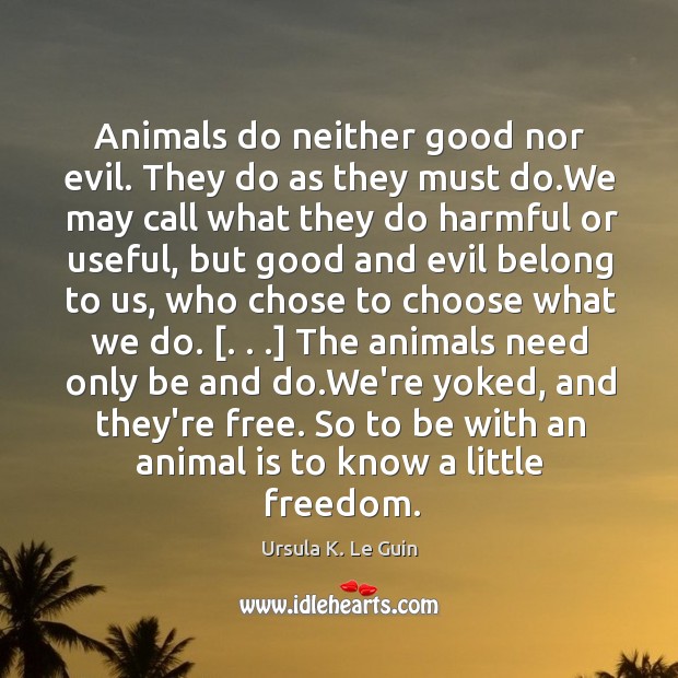 Animals do neither good nor evil. They do as they must do. Image