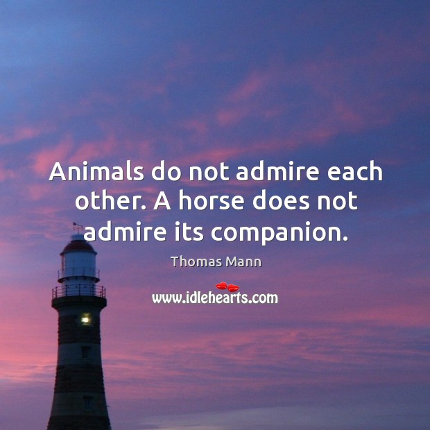 Animals do not admire each other. A horse does not admire its companion. 