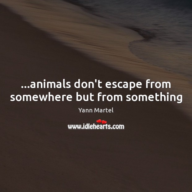 …animals don’t escape from somewhere but from something Image