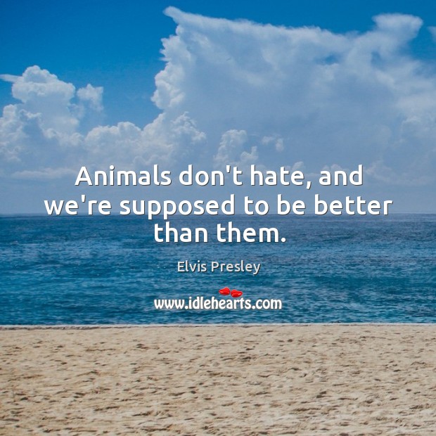 Animals don’t hate, and we’re supposed to be better than them. Image