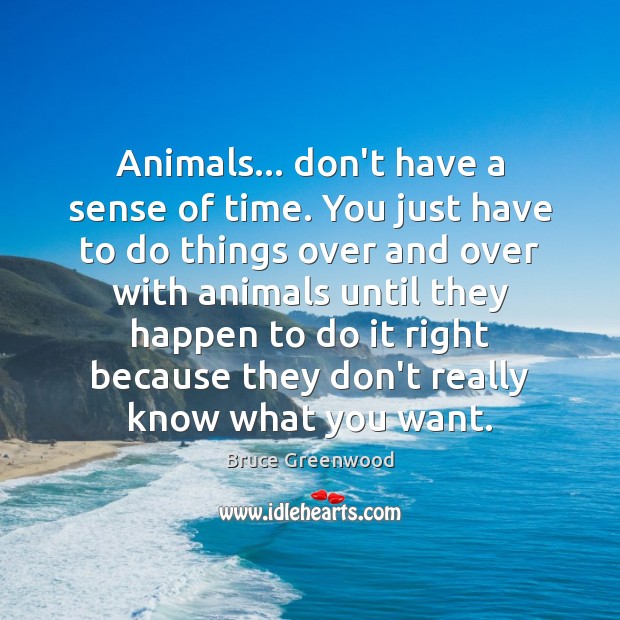 Animals… don’t have a sense of time. You just have to do Bruce Greenwood Picture Quote