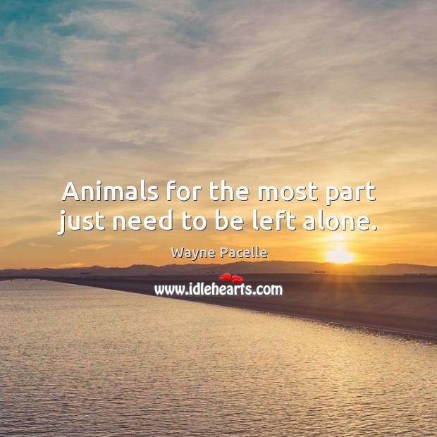 Animals for the most part just need to be left alone. Wayne Pacelle Picture Quote
