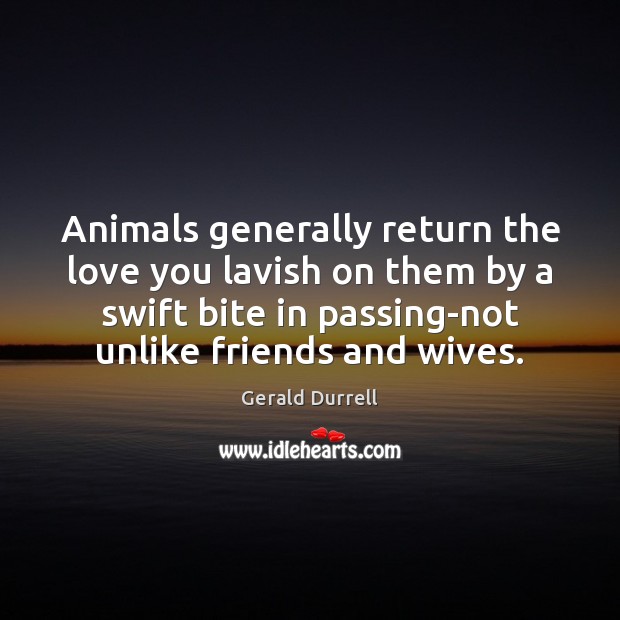 Animals generally return the love you lavish on them by a swift Image