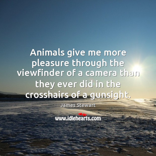 Animals give me more pleasure through the viewfinder of a camera than James Stewart Picture Quote