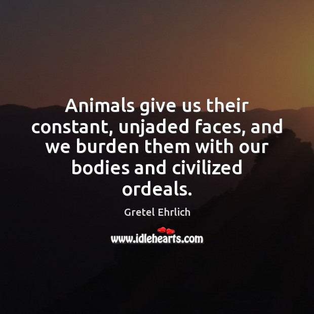 Animals give us their constant, unjaded faces, and we burden them with Gretel Ehrlich Picture Quote