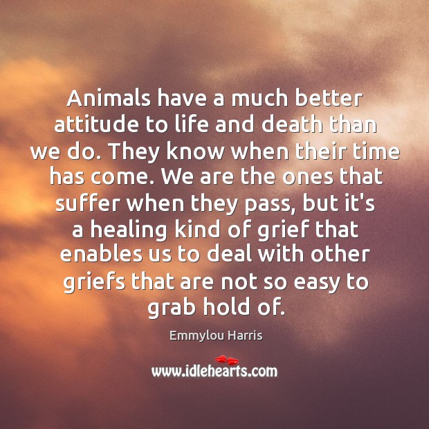 Animals have a much better attitude to life and death than we Emmylou Harris Picture Quote