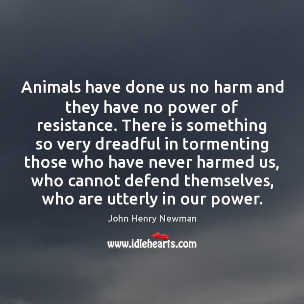 Animals have done us no harm and they have no power of John Henry Newman Picture Quote