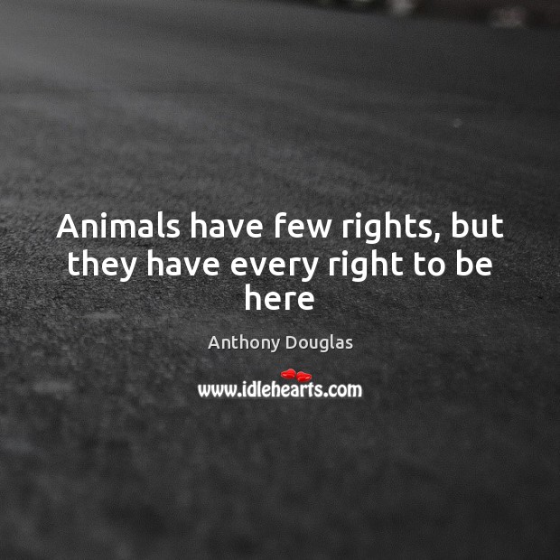 Animals have few rights, but they have every right to be here Anthony Douglas Picture Quote