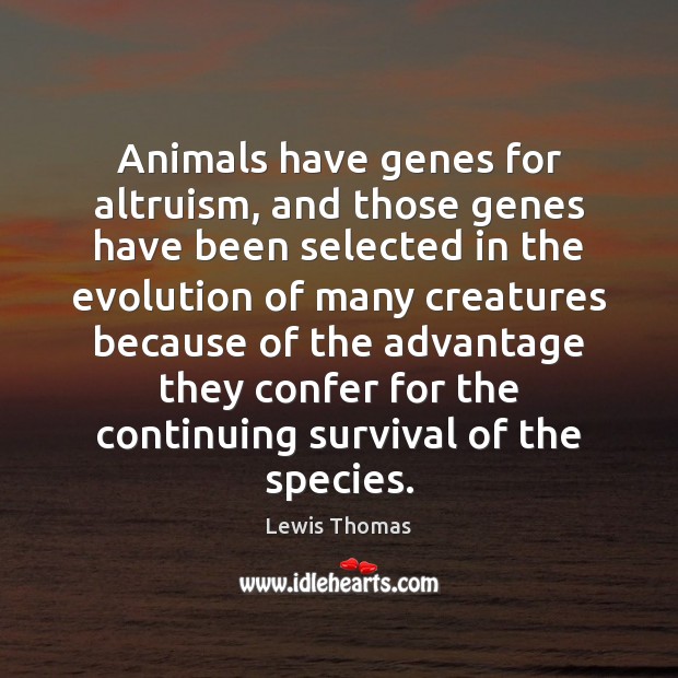 Animals have genes for altruism, and those genes have been selected in Lewis Thomas Picture Quote