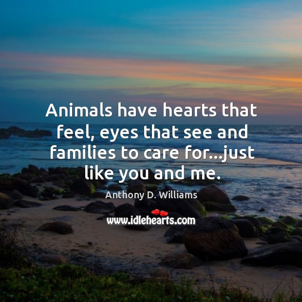 Animals have hearts that feel, eyes that see and families to care Anthony D. Williams Picture Quote