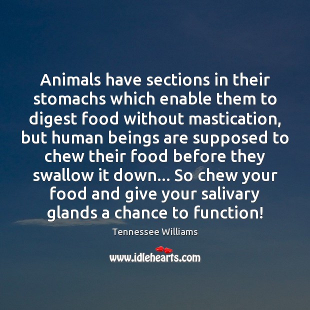 Animals have sections in their stomachs which enable them to digest food Tennessee Williams Picture Quote