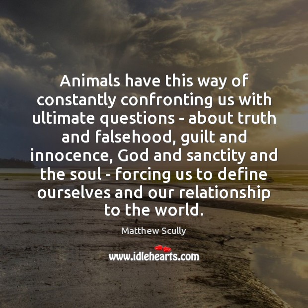 Animals have this way of constantly confronting us with ultimate questions – Matthew Scully Picture Quote