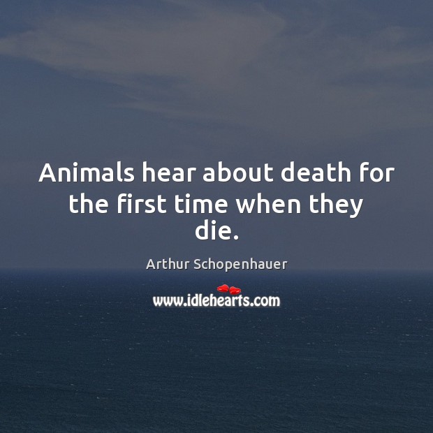 Animals hear about death for the first time when they die. Arthur Schopenhauer Picture Quote