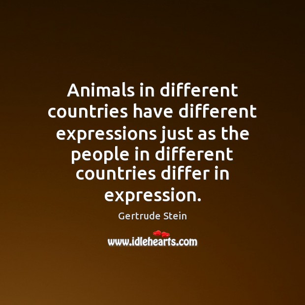 Animals in different countries have different expressions just as the people in Gertrude Stein Picture Quote