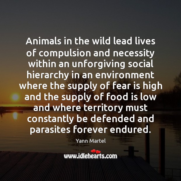 Animals in the wild lead lives of compulsion and necessity within an Fear Quotes Image