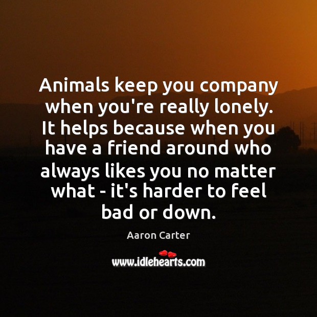 Animals keep you company when you’re really lonely. It helps because when Aaron Carter Picture Quote