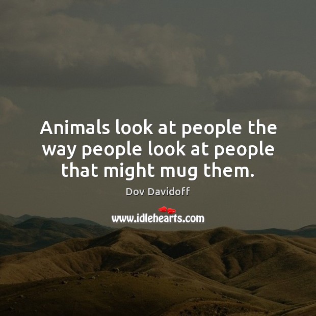 Animals look at people the way people look at people that might mug them. Image