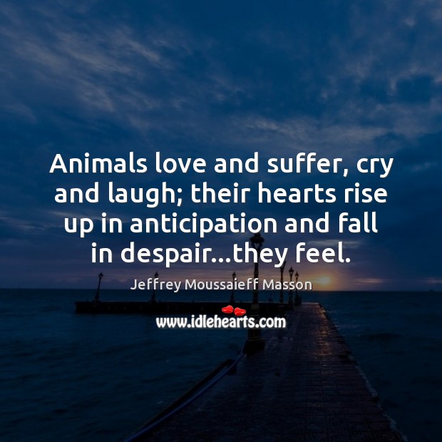 Animals love and suffer, cry and laugh; their hearts rise up in Jeffrey Moussaieff Masson Picture Quote