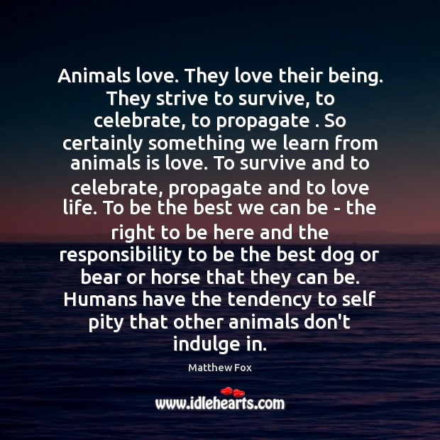 Animals love. They love their being. They strive to survive, to celebrate, Image