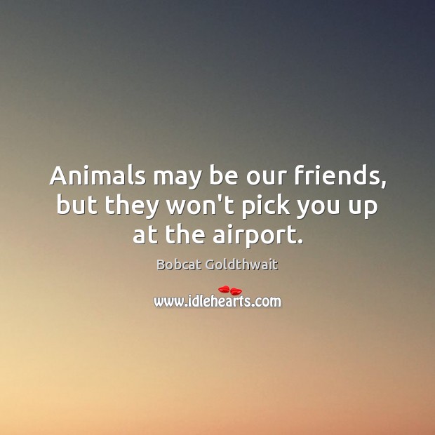 Animals may be our friends, but they won’t pick you up at the airport. Image