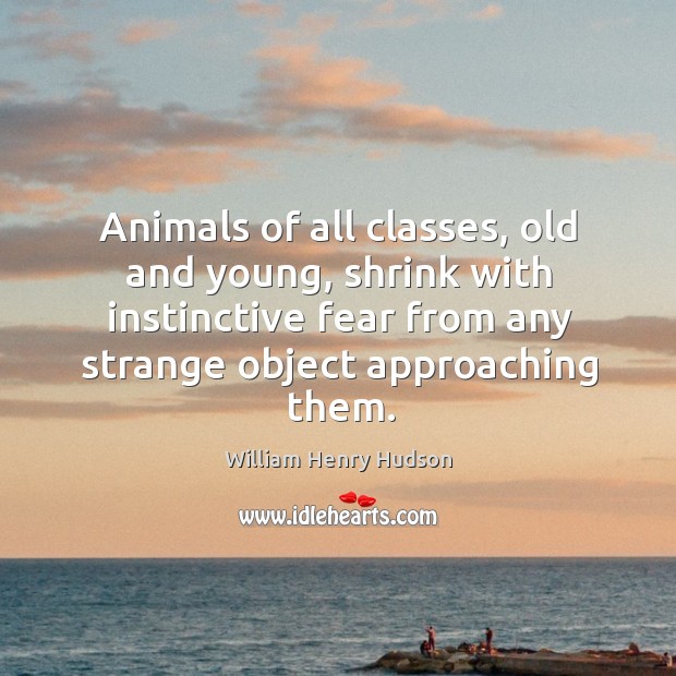 Animals of all classes, old and young, shrink with instinctive fear from any strange object approaching them. William Henry Hudson Picture Quote